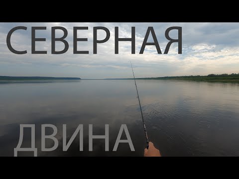 Видео: Рыбалка на Северной Двине. Вибы и чабики.