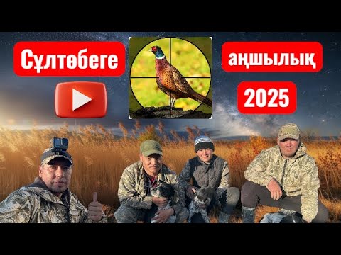 Видео: Сұлтөбе ауылына қонақ болып аңшылық жасап қайттық, Ерасыл мен Мағжан інімізге рахмет!!