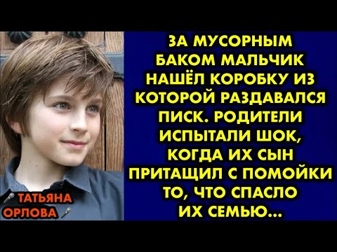 Видео: За мусорным баком мальчик нашёл коробку из которой раздавался писк. Родители испытали шок, когда их