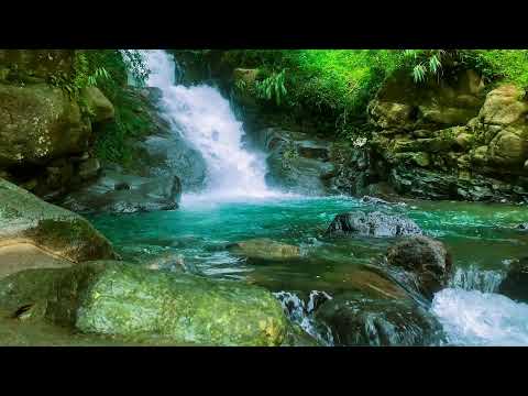 Видео: Самый Расслабляющий Звук Природы | Текущая Вода в Спокойной Зелёной Долине