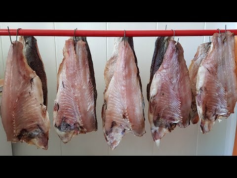 Видео: БАЛЫК из ТОЛСТОЛОБИКА. Выпуск №396