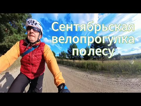 Видео: Сентябрьская велопрогулка по лесу.