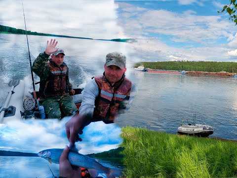 Видео: Отдых на рыбалке.Открытие сезона.Енисей.Хариус.