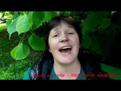 Видео: ЭТО ЛУЧШИЙ КЛИП В ИНТЕРНЕТЕ   !!!!  Офигеть- КАВЕР ПЕСНЯ !!!