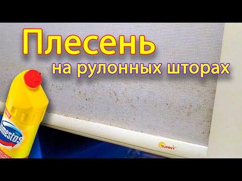 Видео: Как избавиться от плесени на рулонных шторах. Цвель на шторах ролетах.