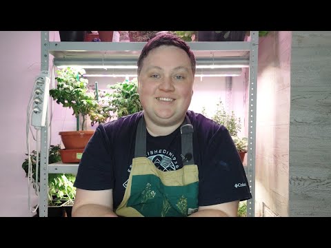 Видео: Почему не всходят ПЕРЦЫ И БАКЛАЖАНЫ?#борисборисов  #перец #баклажан