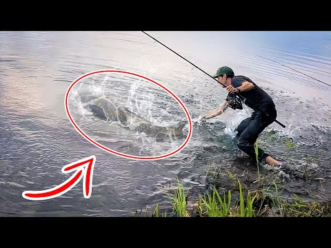 Видео: КОРОП ПОТЯГНУВ У ВОДУ - Рибалка на озері