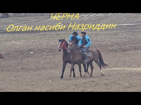 Видео: Бузкаши аз номи мардуми Сагирдашт охирон насиби Черна