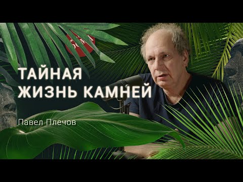 Видео: ГЕОЛОГ: «‎Наша Земля — это термос». Что скрывают кристаллы? Павел Плечов