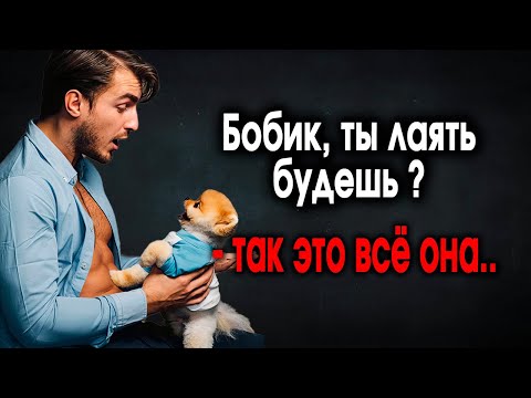 Видео: 1353. Когда твой Бобик под санкциями..