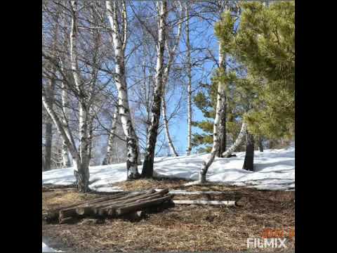 Видео: Өмір ағысы...