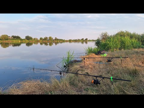 Видео: Нарешті САЗАН! Риболовля з ночівлею на березі річки Дністер. Готовка та відпочинок на природі