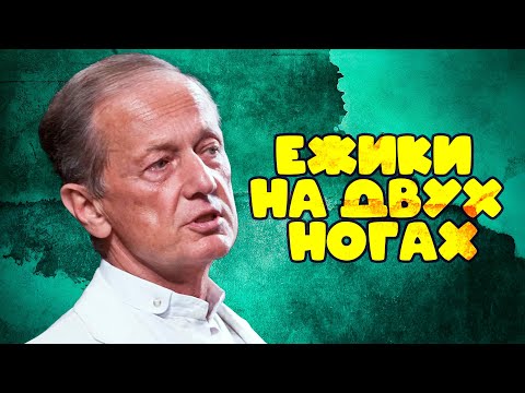 Видео: Михаил Задорнов - ЕЖИКИ НА ДВУХ НОГАХ |  Лучшее из юмористических концертов @BestPlayerMusic