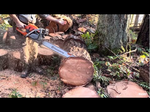 Видео: Обкатка Husqvarna 562xp mark11, первые настоящие работы