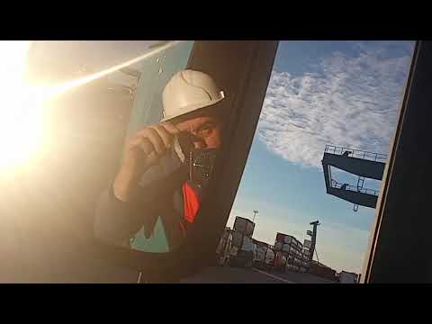 Видео: Сряда вечерта 