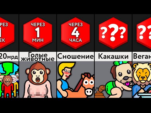 Видео: Если Все Животные Станут Людьми