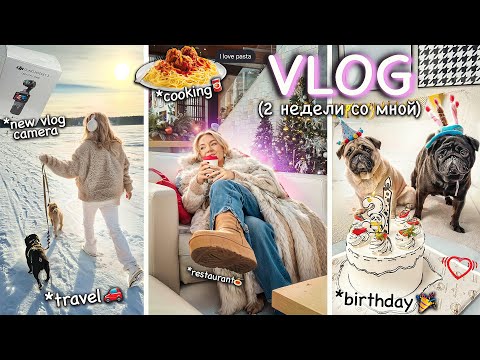 Видео: BIG VLOG💞 День Рождение Фуни, мини ПУТЕШЕСТВИЕ, Убираем Елку, DJI Osmo Pocket и Ozon, COOKING 🍝