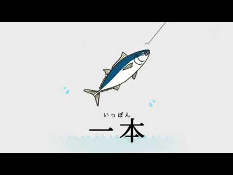 Видео: счетные суффиксы. РЫБА