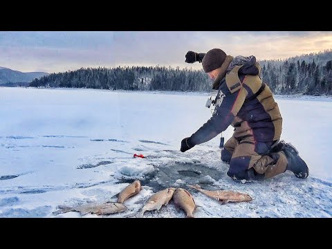 Видео: ЛЕСКА ТРЕЩИТ ЛОПАТЫ ДАВЯТ!!! ПРИЕХАЛИ НА РЫБАЛКУ НА ТОНКИЙ ЛЁД!