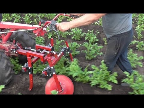 Видео: Картофельная страда продолжается Борона и новый дисковый окучник с мотоблоком МТЗ в деле