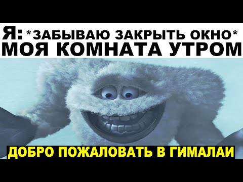 Видео: Мемы | Дневная подборка мемов 201