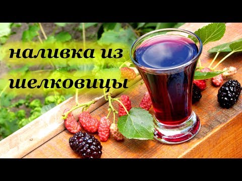 Видео: Наливка из шелковицы, вкусный авторский рецепт от Алкофана
