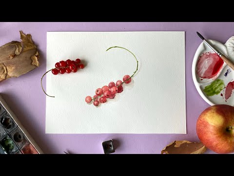 Видео: Ягоды акварелью. Рисуем поэтапно красную смородину / Акварель для начинающих