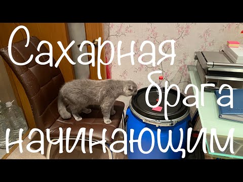 Видео: Сахарная брага для начинающих