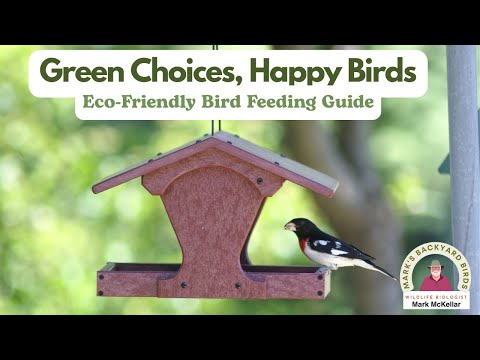 Видео: Советы по рациональному кормлению птиц, которые должен знать каждый любитель птиц на заднем дворе