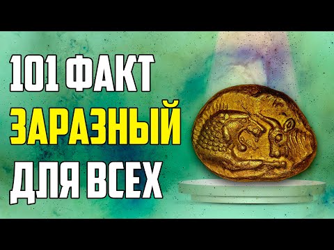 Видео: 101 ЗАРАЗНЫЙ ФАКТ, КОТОРЫЕ ЗАХОЧЕТСЯ РАССКАЗАТЬ ВСЕМ