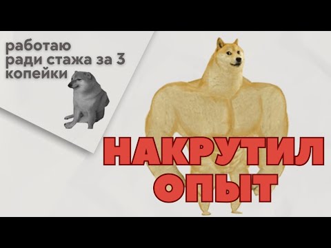 Видео: Как вкатиться в IT с 0 и БЕЗ курсов? ГАЙД ПО НАКРУТКЕ ОПЫТА