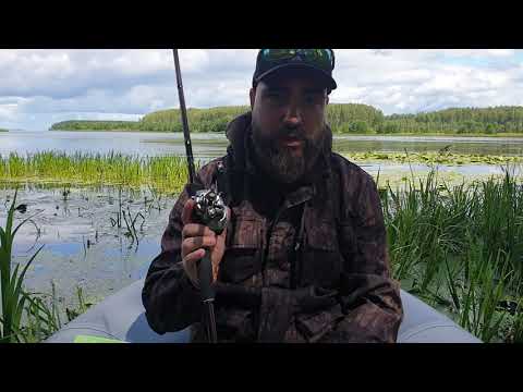 Видео: Впечатление от Shimano Scorpion DC 2021