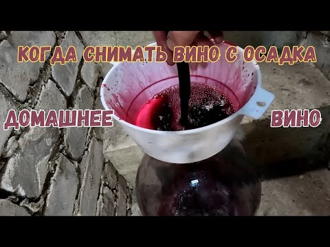Видео: Когда и сколько раз я снимаю вино с осадка. Почему я добавляю сахар и воду в вино.#виноделие