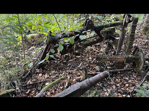 Видео: ИСТОРИЯ ОДНОЙ ЛЕСНОЙ НАХОДКИ!