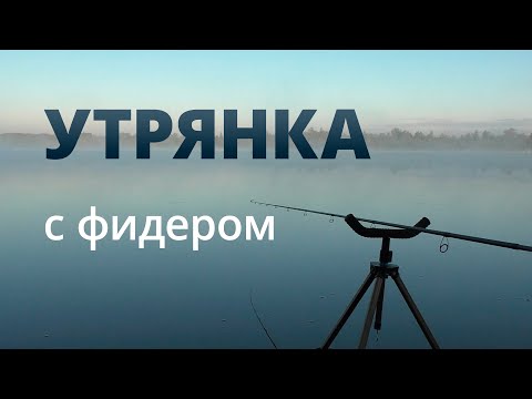 Видео: Утрянка на фидер — #OmskFish