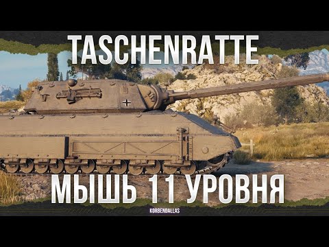 Видео: МЫШЬ 11 УРОВНЯ - Taschenratte