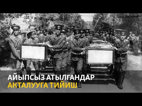 Видео: Айыпсыз атылгандар акталууга тийиш