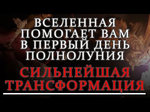 Видео: СРОЧНО НУЖНО СДЕЛАТЬ !