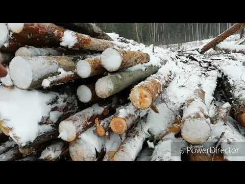 Видео: За дровами по снегу на самодельном тракторе Дерзик!