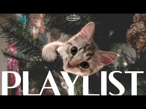 Видео: 𝗽𝗹𝗮𝘆𝗹𝗶𝘀𝘁🎧Раннее рождественское настроение🎄Кэролы для ноября💜 | 8 часов музыки для кафе