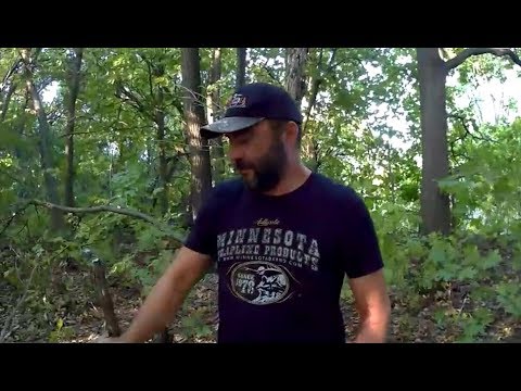 Видео: Приманка по куньим "Tako" | Вторая проверка.