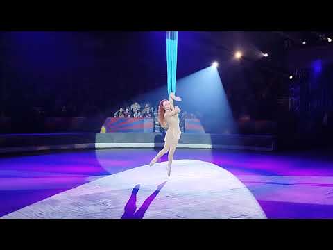 Видео: "ГИМНАСТКА В ГАМАКЕ" ОЛЬГА МОРЕВА, "ШОУ МОРСКИХ КОТИКОВ", ЦИРК "АВТОВО"