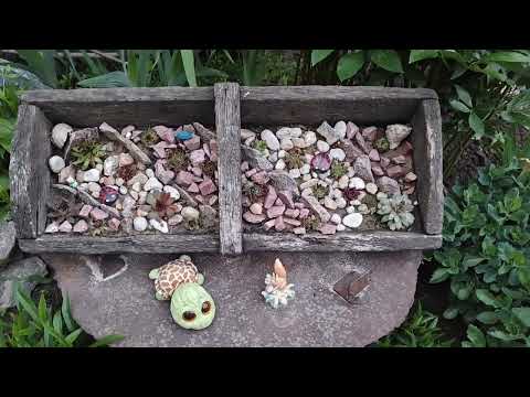 Видео: Молодила - кам'яні троянди в дизайні саду.