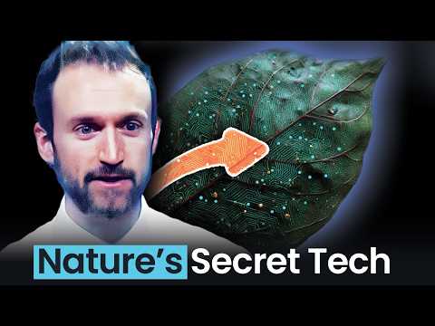 Видео: Могут ли листья научить нас разумному замыслу?