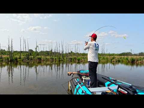 Видео: Ловля щуки и судака летом в +36! Ловить ПРОСТО, если знать ПРОСТЫЕ правила :)