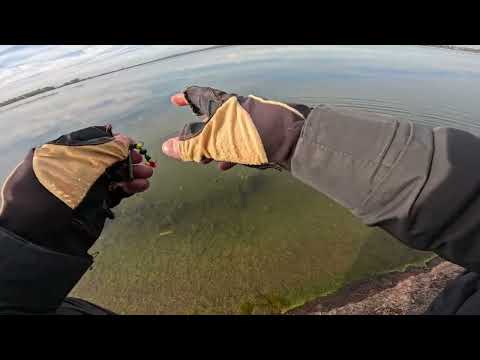 Видео: ГАМА 2025 — ловив судака, а спіймав “малюка”