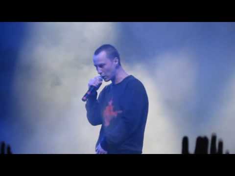 Видео: Казян(ОУ74) - Собачье сердце