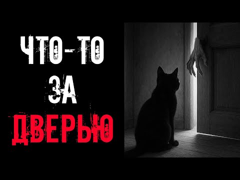 Видео: ПОЧЕМУ КОШКА СМОТРИТ НА ДВЕРЬ? Страшные истории на ночь. Страшилки на ночь.
