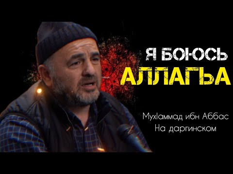 Видео: ГУБДЕН. Я боюсь Аллагьа ( МухIаммад Ибн Аббас) на даргинском