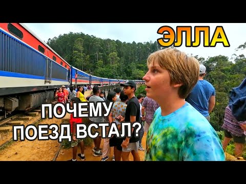 Видео: Ночная жизнь Эллы. Шри-Ланка. Январь 2024. - Семейный Тревел Влог